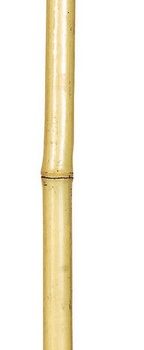 Μπαμπού Βέργες Στήριξης Φυτών 120(h)cm , Ø 12-14mm