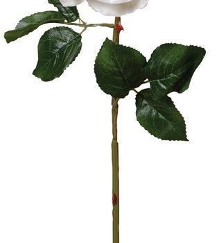 Real Touch Λουλούδι Τριαντάφυλλο 70cm