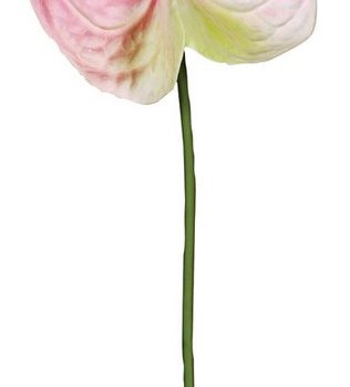 Real Touch Λουλούδι Ανθούριο 55cm