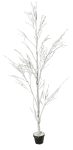 12168-xionismeno-diakosmhtiko-dentro-se-glastra-200hcm