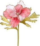 203678-roz-xristougenniatiko-louloudi-20-x-30cm