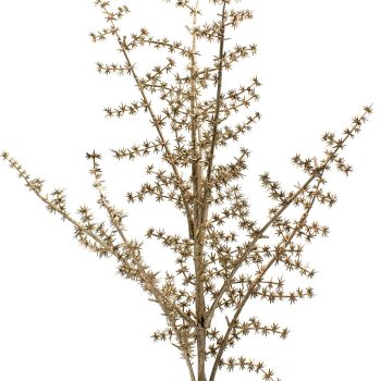 Χρυσό Χριστουγεννιάτικο Διακοσμητικό Κλαδί 64(Η)cm
