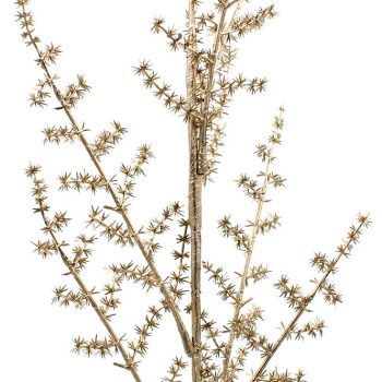 Χρυσό Χριστουγεννιάτικο Διακοσμητικό Κλαδί 78(Η)cm