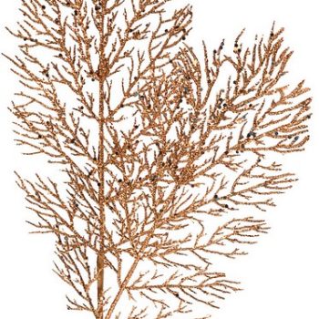 Χριστουγεννιάτικο Διακοσμητικό Κλαδί 20 x 55(h)cm