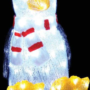 80Led 3D Φωτιζόμενος Ακρυλικός Πιγκουίνος Με Μετασχηματιστή Ip44,40(Η)cm