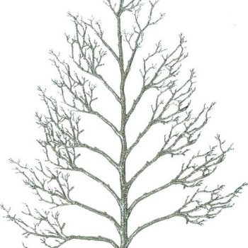 Χριστουγεννιάτικο Διακοσμητικό Ξερόκλαδο Με Γκλίτερ 220cm