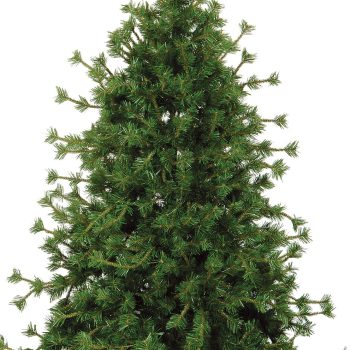 Καρφωτό Χριστουγεννιάτικο Δέντρο Αίνος 240cm