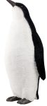 Χριστουγεννιάτικος Διακοσμητικός Πιγκουίνος 41 x 35 x 84(h)cm