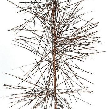 Χριστουγεννιάτικο Διακοσμητικό Κλαδί 70cm